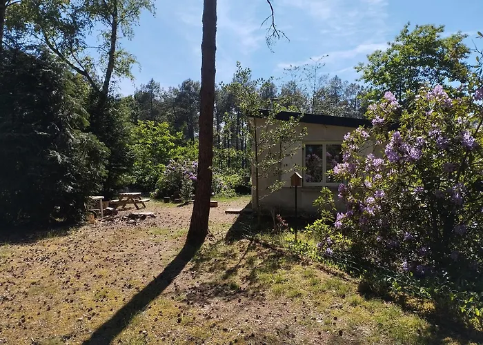 Detente Nature Sam'suffit Oizé